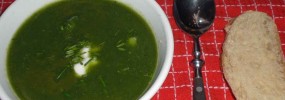Den grønne suppe
